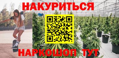 Альфа ПВП Краснодар